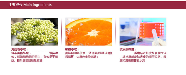 Fresh/馥蕾诗澄糖滋润护唇膏（珊瑚红）4.3G