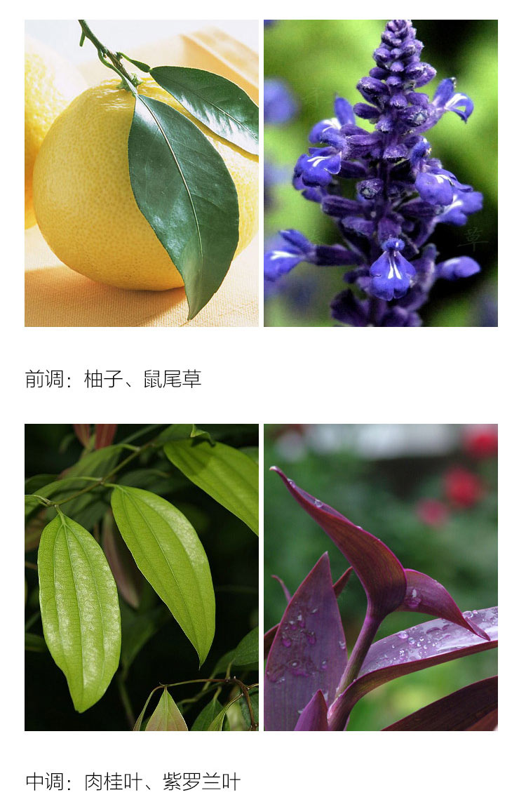 MontBlanc/万宝龙荣耀之星男士淡香水 60ml