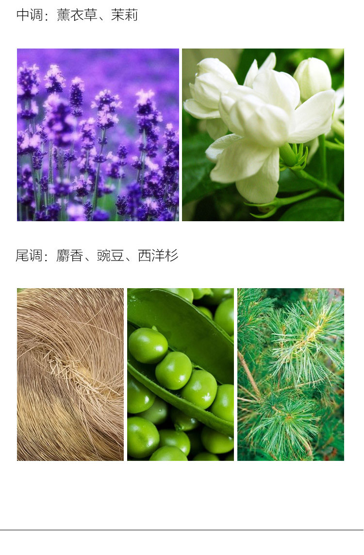 VERSACE/范思哲蓝色牛仔淡香水 75ml