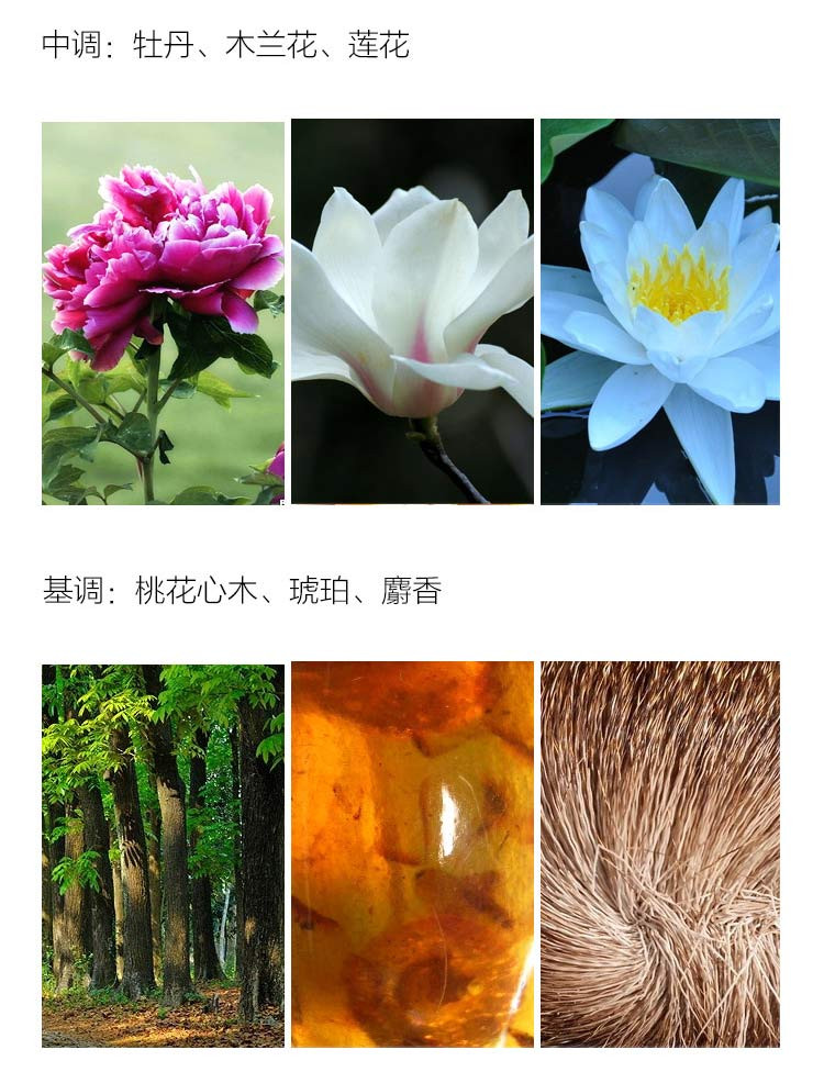 VERSACE/范思哲星夜水晶女士香水50ml(又名范思哲星夜水晶女士淡香水50ml）