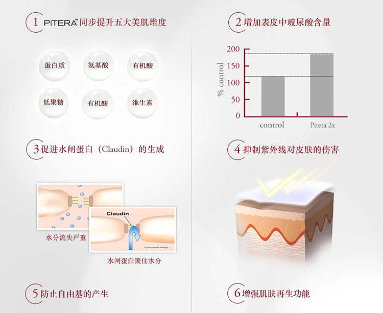 SK-II/SK-II 神仙水 护肤精华露 160ML