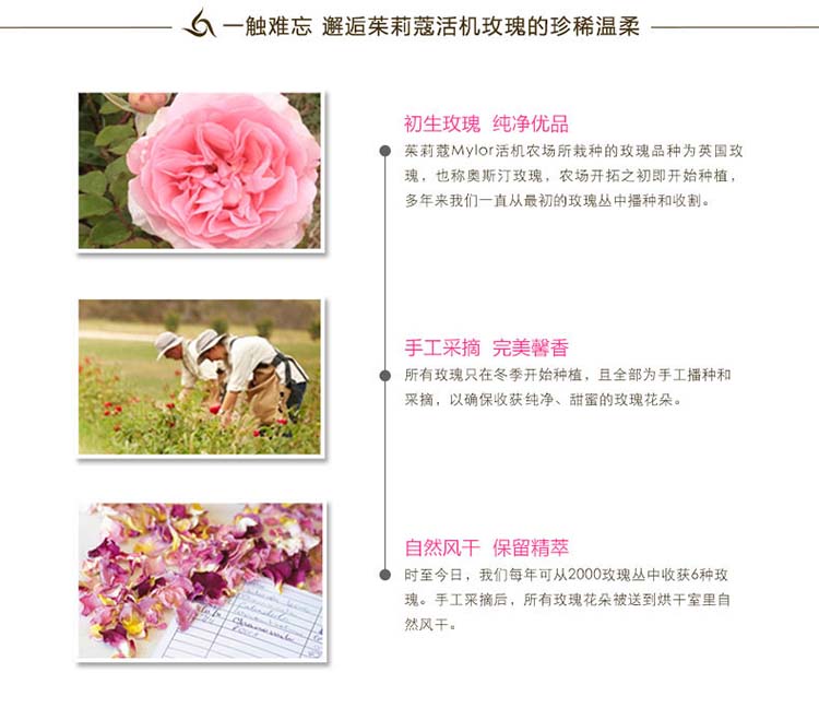 Jurlique/茱莉蔻玫瑰衡肤保湿凝乳50ML