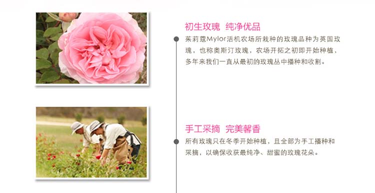 Jurlique/茱莉蔻玫瑰衡肤保湿乳液50ML