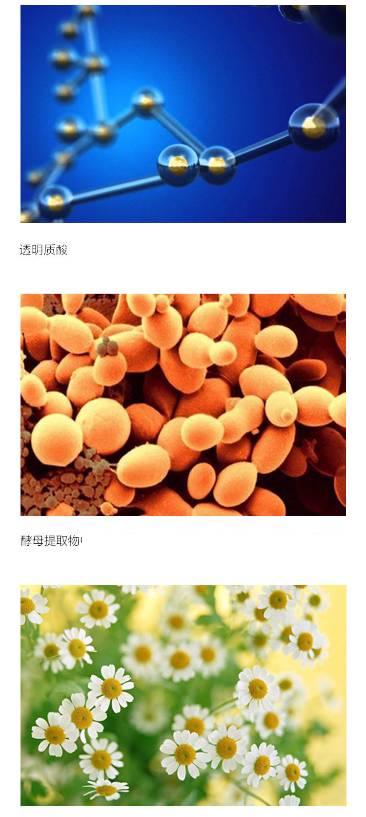 【19春夏】Estee Lauder/雅诗兰黛肌透修护眼部精华霜15ML