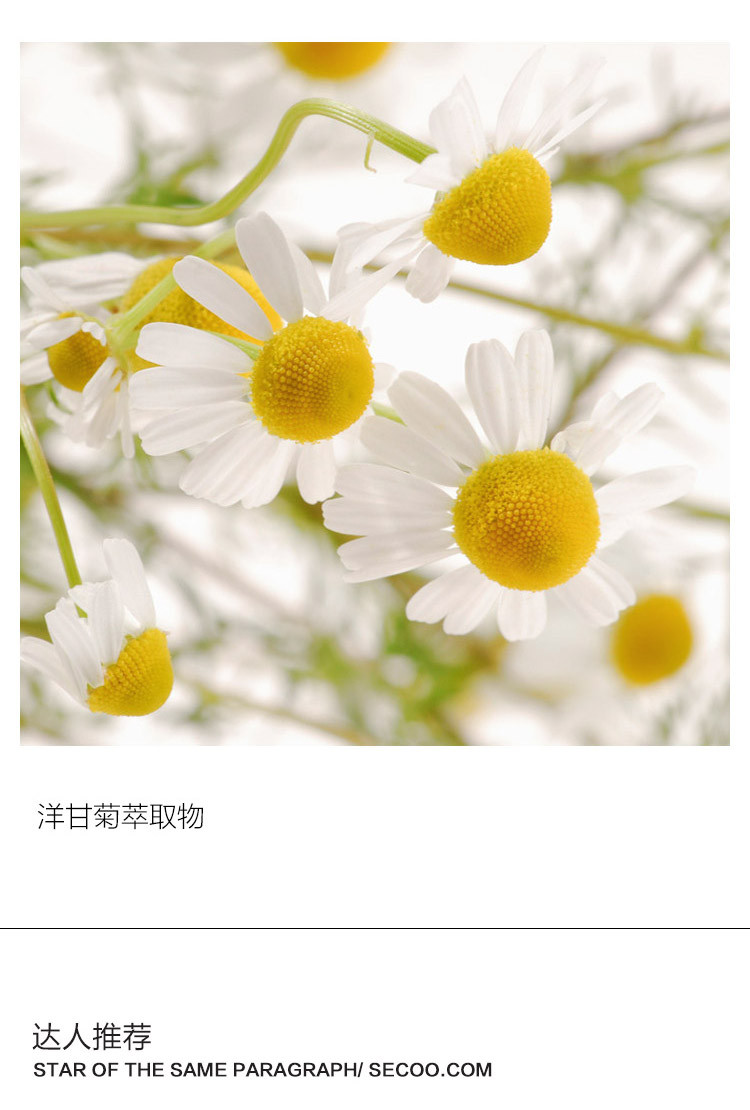 Estee Lauder/雅诗兰黛特润修护精华露50ml