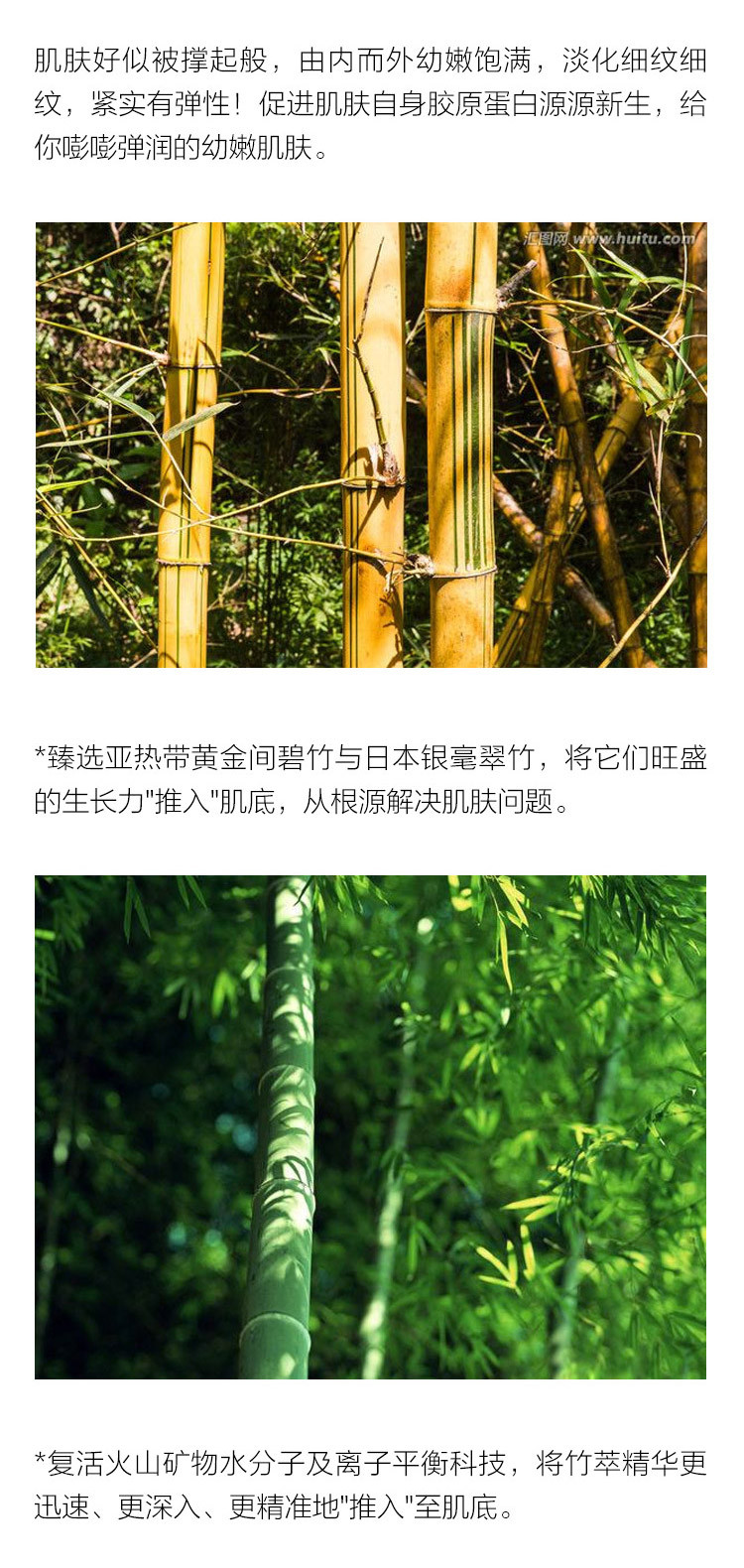 Estee Lauder/雅诗兰黛紧致肌源精粹水200ml新名称雅诗兰黛紧实抗皱竹粹水水