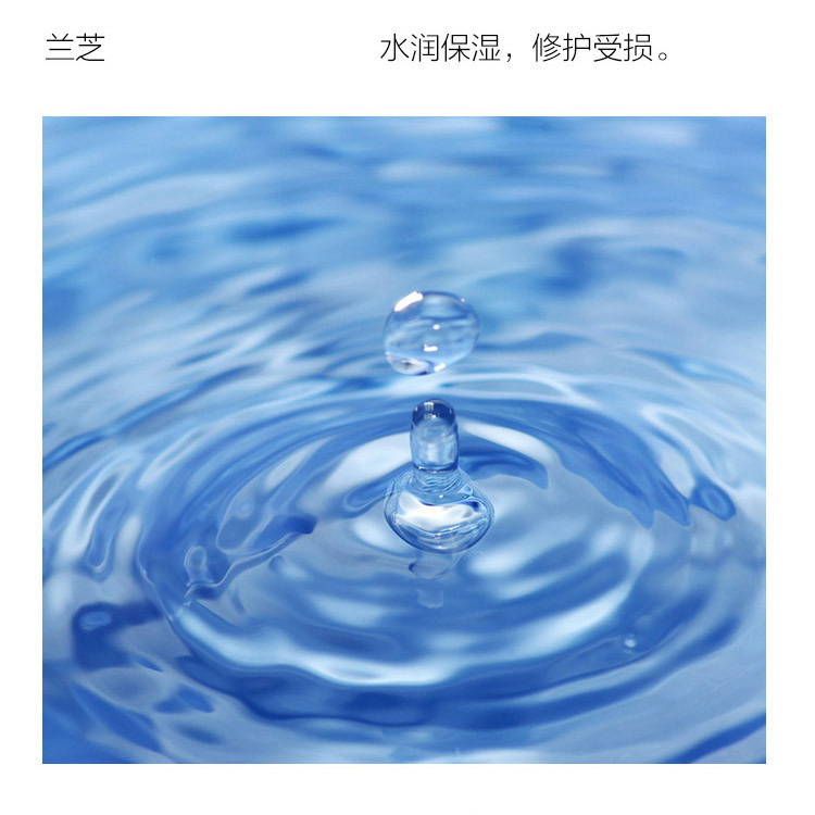 Laneige/兰芝夜间保湿修护唇膜20G（草莓味） 新老包装随机发货