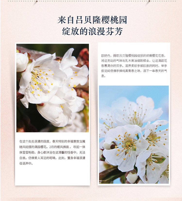 L'OCCITANE/欧舒丹甜蜜樱花沐浴手霜3件套（沐浴啫喱250ml+润肤露250ml+手霜30ml））