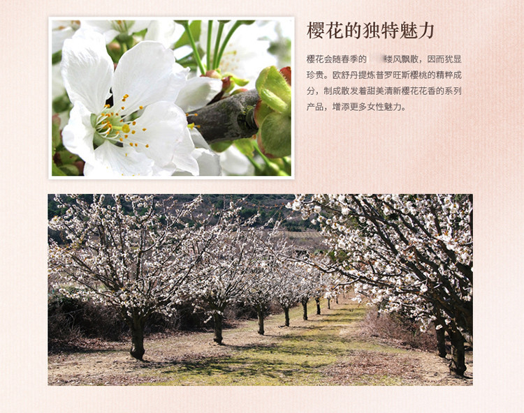 L'OCCITANE/欧舒丹甜蜜樱花润手霜75ml