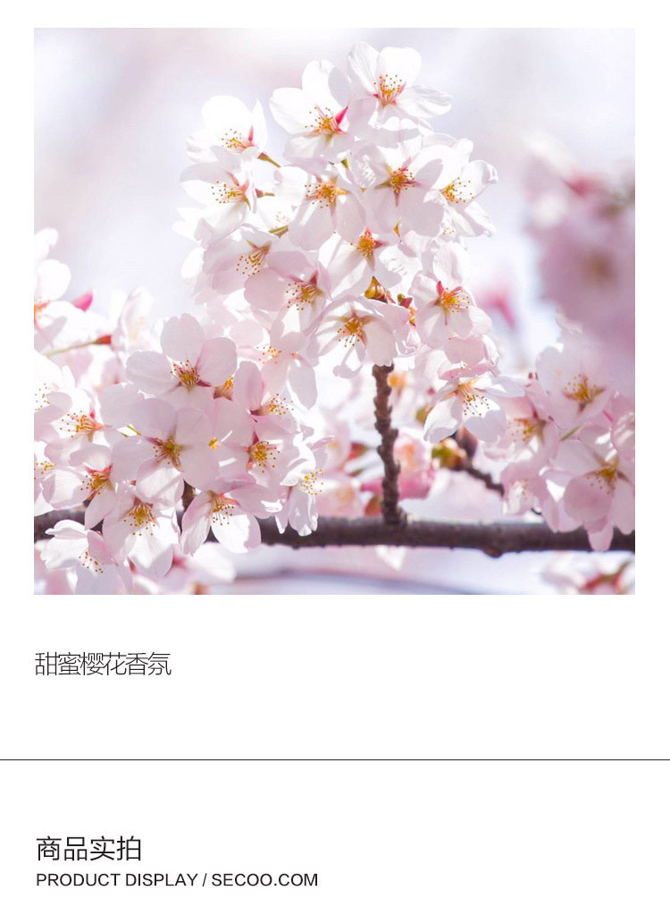 L'OCCITANE/欧舒丹润手霜组装30ml*3（乳木果丰凝润手霜30ML +甜蜜樱花润手霜30ML+玫瑰味润手霜30ML）