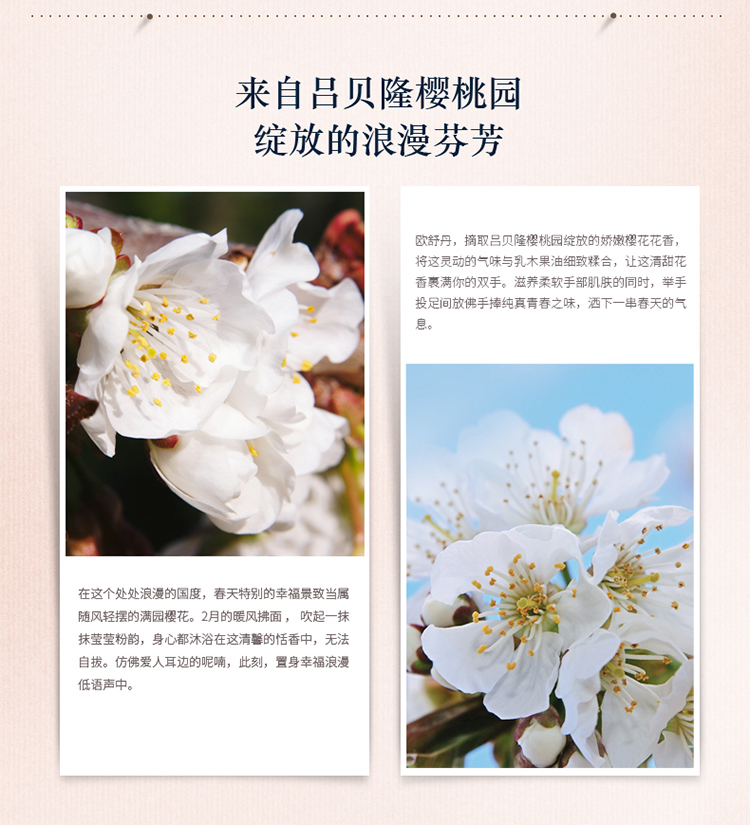 L'OCCITANE/欧舒丹甜蜜樱花身体套装(润肤露250ml+沐浴啫喱250ml)