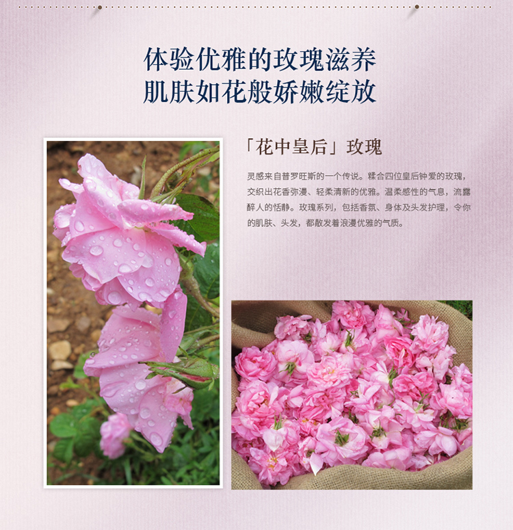 L'OCCITANE/欧舒丹玫瑰皇后沐浴润肤套装（沐浴啫喱250ml+润肤露250ml) 新老包装随机发放