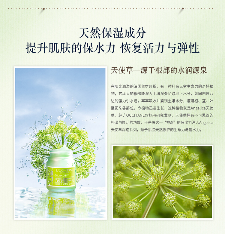 L'OCCITANE/欧舒丹天使草润透两件套装(洁面啫喱200ml+保湿水200ml）