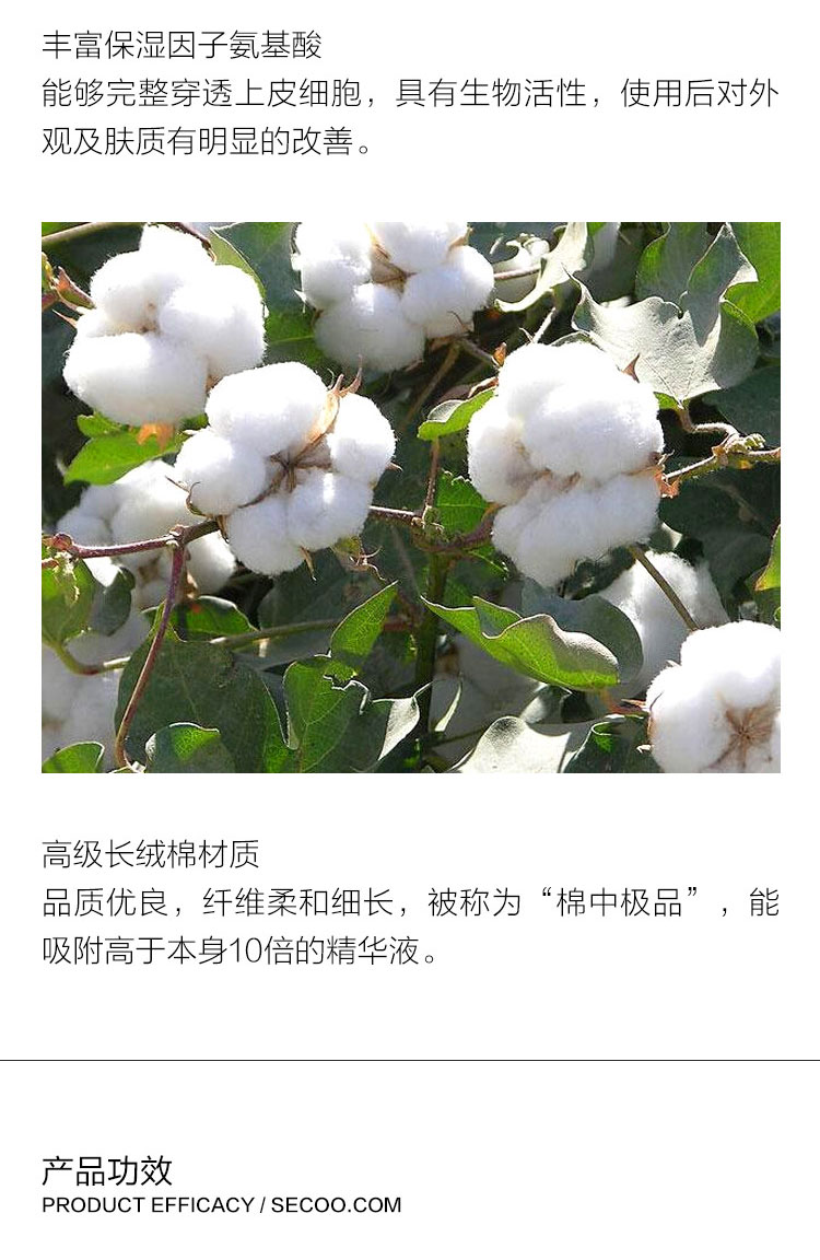 LEADERS/丽得姿 润美保湿补水修复面膜（10片装）韩国原装