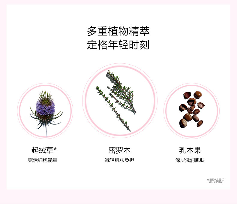 CLARINS/娇韵诗 青春赋活日间霜（滋润型）50ml 赋活日间霜