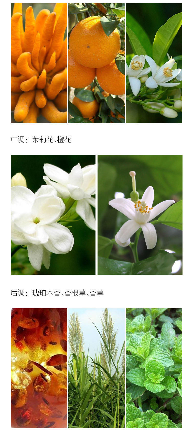 Tesori D’oriente/东方宝石土耳其精油洗手液300ml