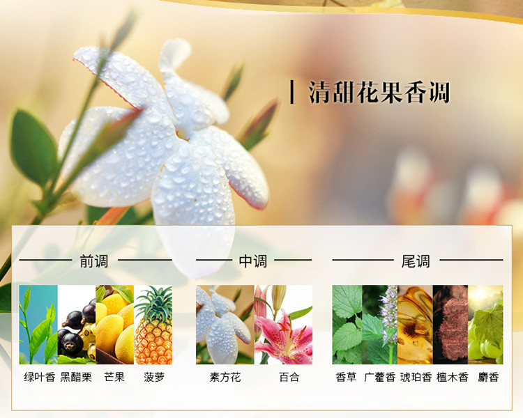 Tesori D’oriente/东方宝石素方花香莹润沐浴乳500ml