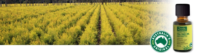 Thursday Plantation茶树精油祛痘 10ml （Antiseptic) 澳洲药妆