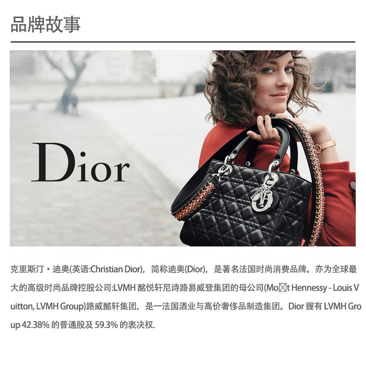 DIOR/迪奥 男士尖领纯棉休闲长袖衬衫