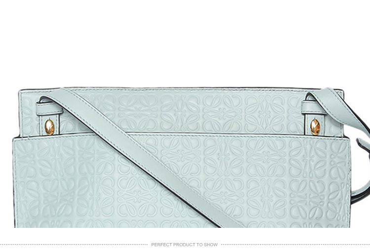 LOEWE/罗意威 女士真皮浅蓝色斜挎包 #107.55.N77 5245