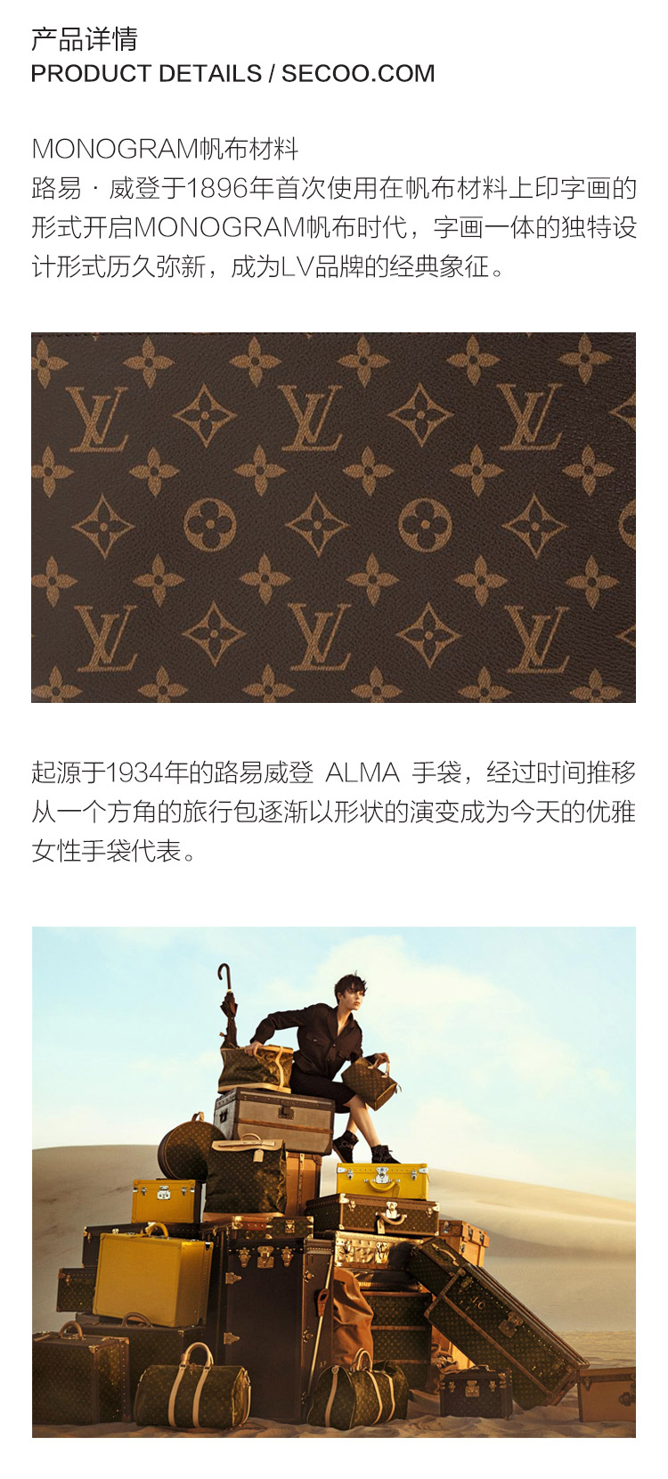 Louis Vuitton/路易威登 老花经典帆布/配皮女士中号手提包配长肩带 M48814