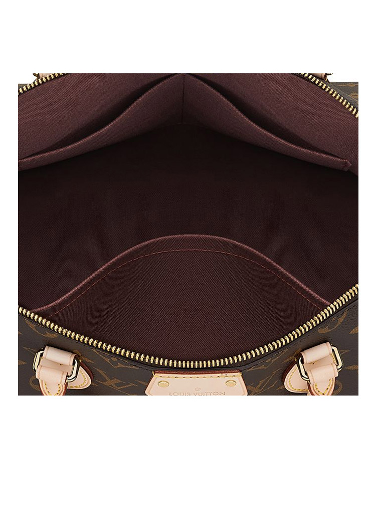 Louis Vuitton/路易威登 老花经典帆布/配皮女士中号手提包配长肩带 M48814