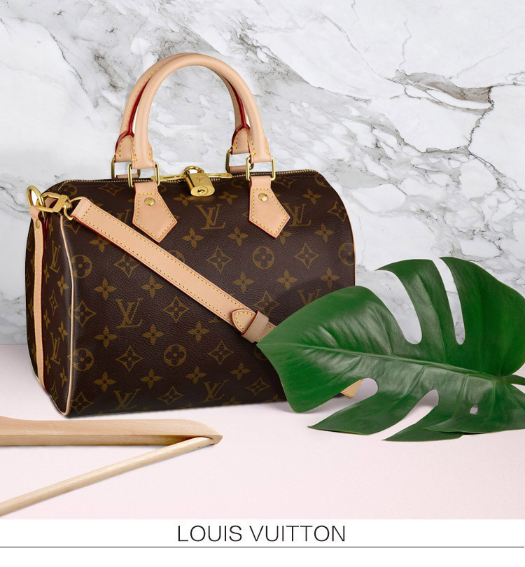 LouisVuitton/路易威登老花经典帆布/配皮Speedy25女士两用手提包M41113