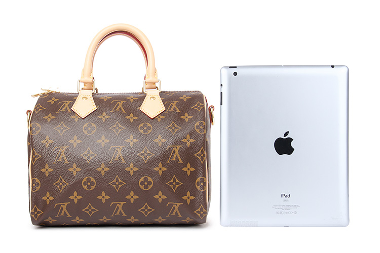 LouisVuitton/路易威登老花经典帆布/配皮Speedy25女士两用手提包M41113