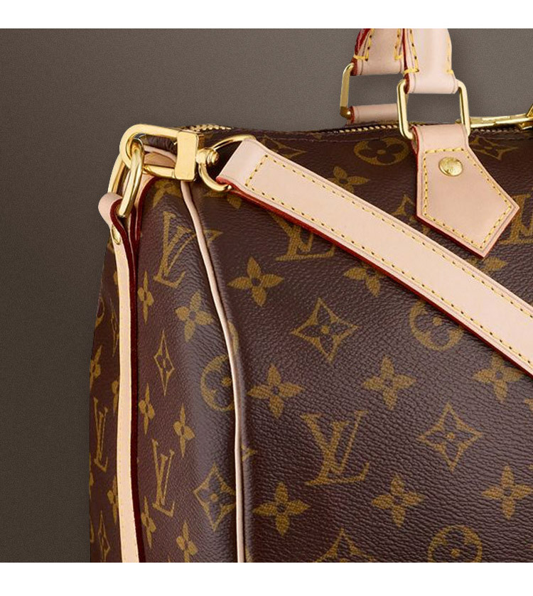 Louis Vuitton/路易威登 经典老花SPEEDY30帆布女士手提两用包M41112