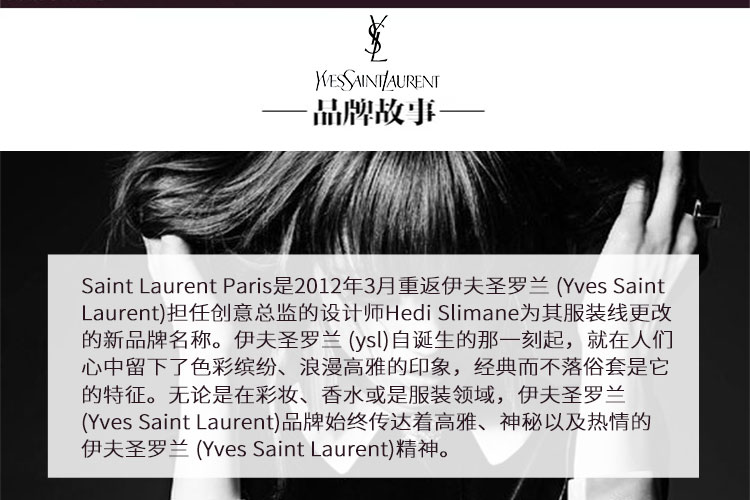 Yves saint Laurent/圣罗兰 16秋冬羊皮YSL LOGO链条女士手提包 428056BRM05
