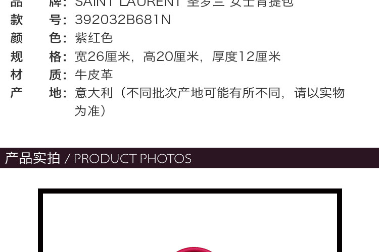 Yves saint Laurent/圣罗兰 牛皮革YSL风琴背提包 女士单肩包 392032B681N