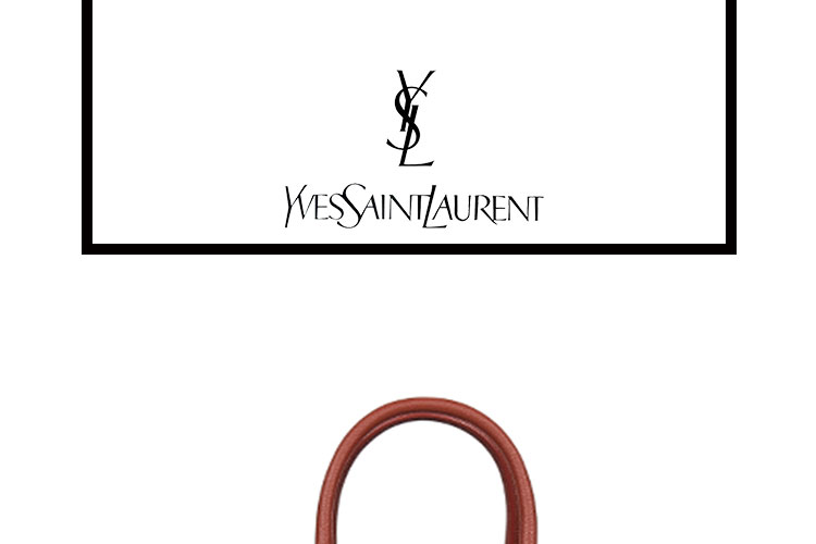 SAINT LAURENT PARIS/圣罗兰 牛皮革YSL风琴女士手提包 421863B681N