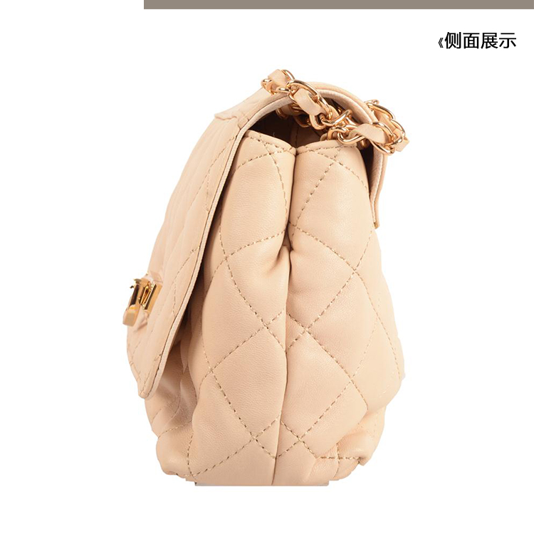 DKNY/唐娜 凯伦 牛皮 女士斜挎单肩包翻盖包 762410101