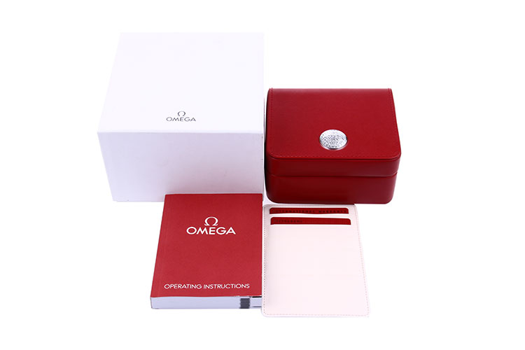 OMEGA/欧米茄星座双鹰天文台金钢自动机械男表 123.20.35.20.02.003