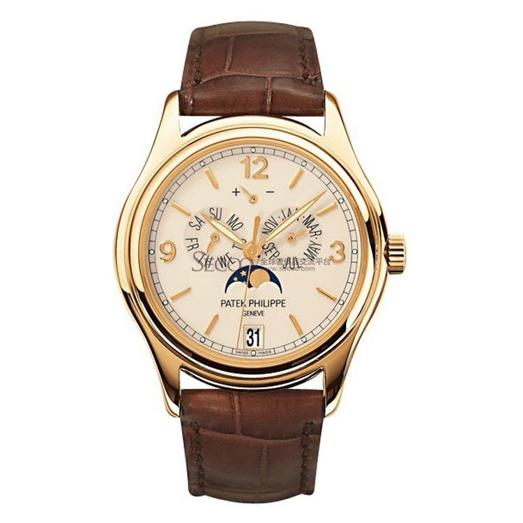 Patek Philippe/百达翡丽 复杂功能系列男士机械腕表 5146J-001