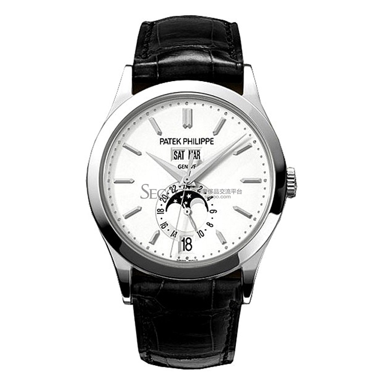 Patek Philippe/百达翡丽 复杂功能系列男士机械腕表 5396G-011