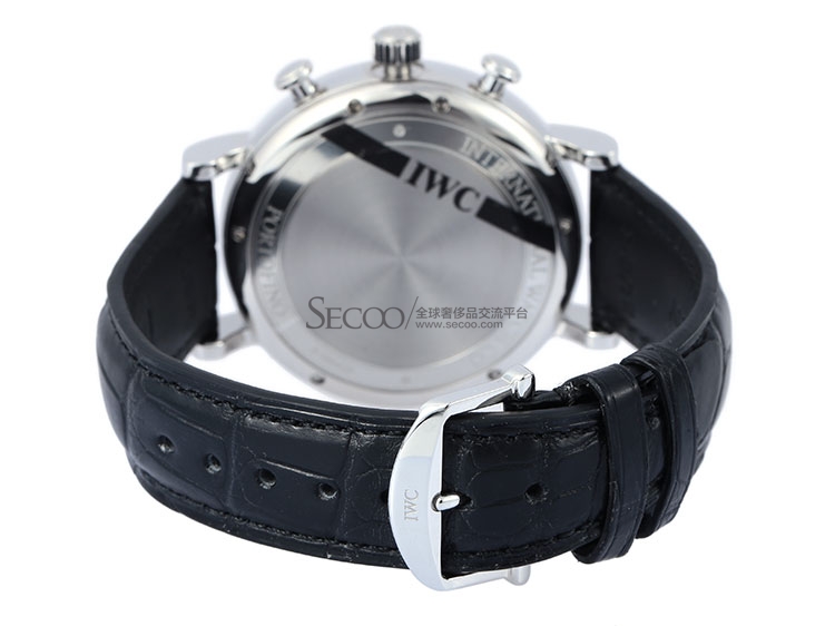 IWC/万国 柏涛菲诺系列 男式 自动机械腕表 IW391008