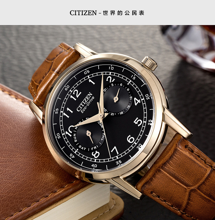Citizen/西铁城 光动能商务休闲小牛皮男表AO9003-08E