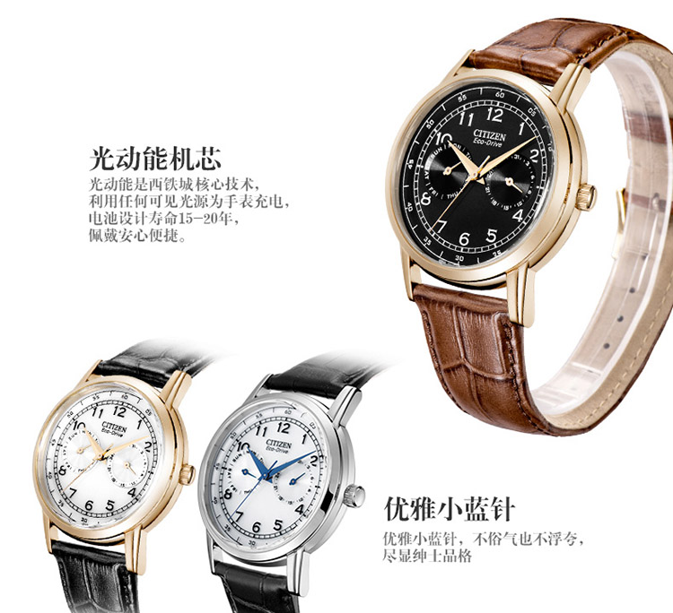 Citizen/西铁城 光动能商务休闲小牛皮男表AO9003-08E