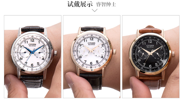 Citizen/西铁城 光动能商务休闲小牛皮男表AO9003-08E
