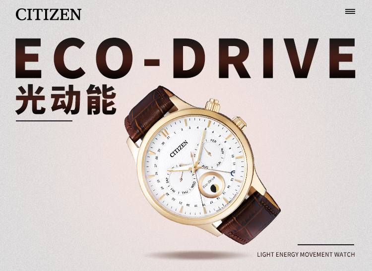 Citizen/西铁城光动能月相显示双日历皮带男表AP1052-00A