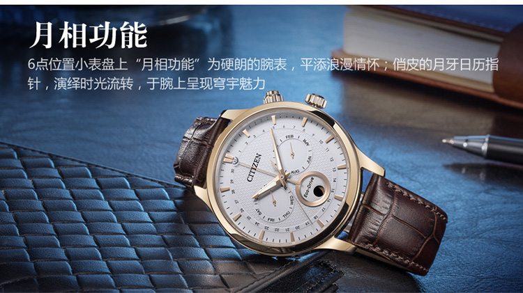 Citizen/西铁城光动能月相显示双日历皮带男表AP1052-00A