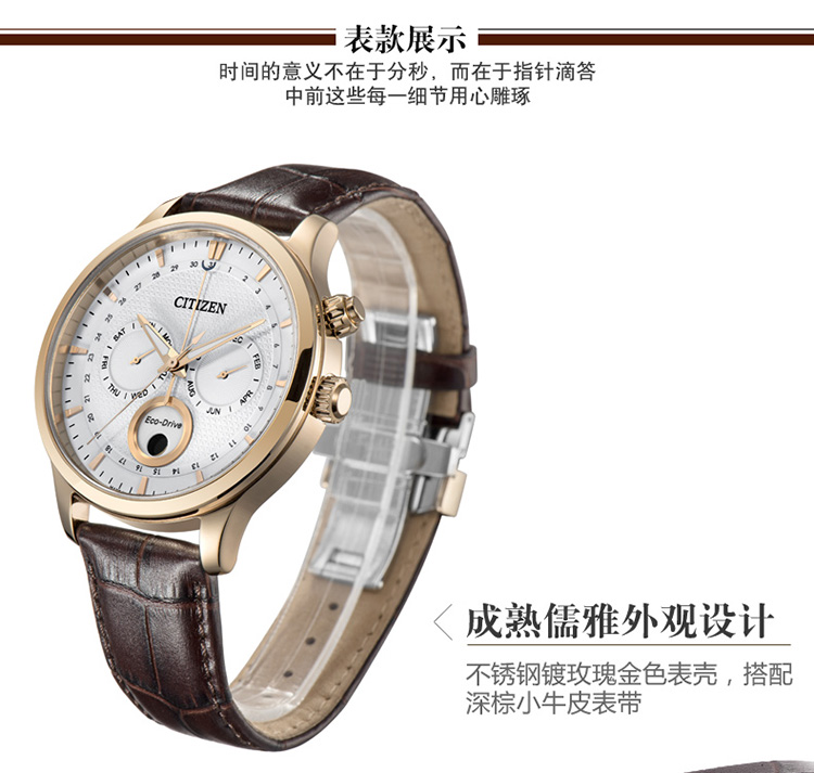 Citizen/西铁城光动能月相显示双日历皮带男表AP1052-00A