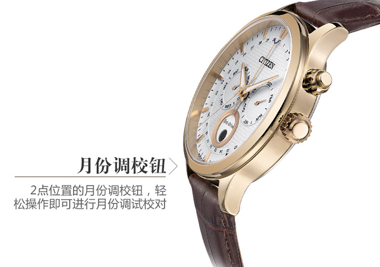 Citizen/西铁城光动能月相显示双日历皮带男表AP1052-00A