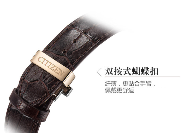 Citizen/西铁城光动能月相显示双日历皮带男表AP1052-00A