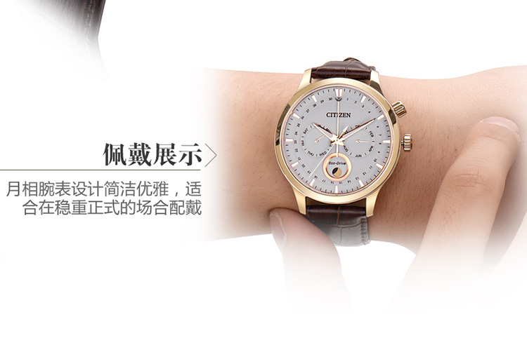 Citizen/西铁城光动能月相显示双日历皮带男表AP1052-00A