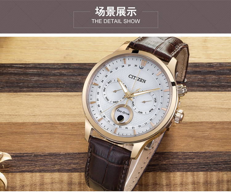 Citizen/西铁城光动能月相显示双日历皮带男表AP1052-00A
