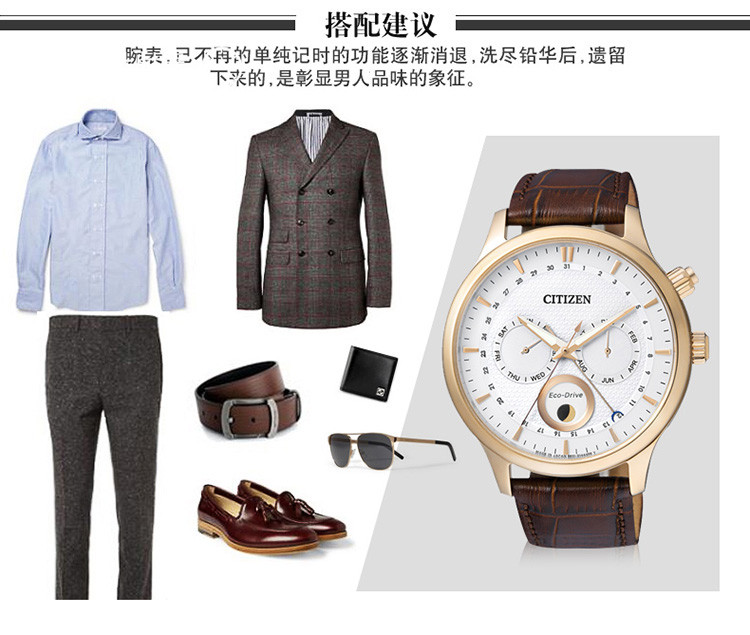 Citizen/西铁城光动能月相显示双日历皮带男表AP1052-00A