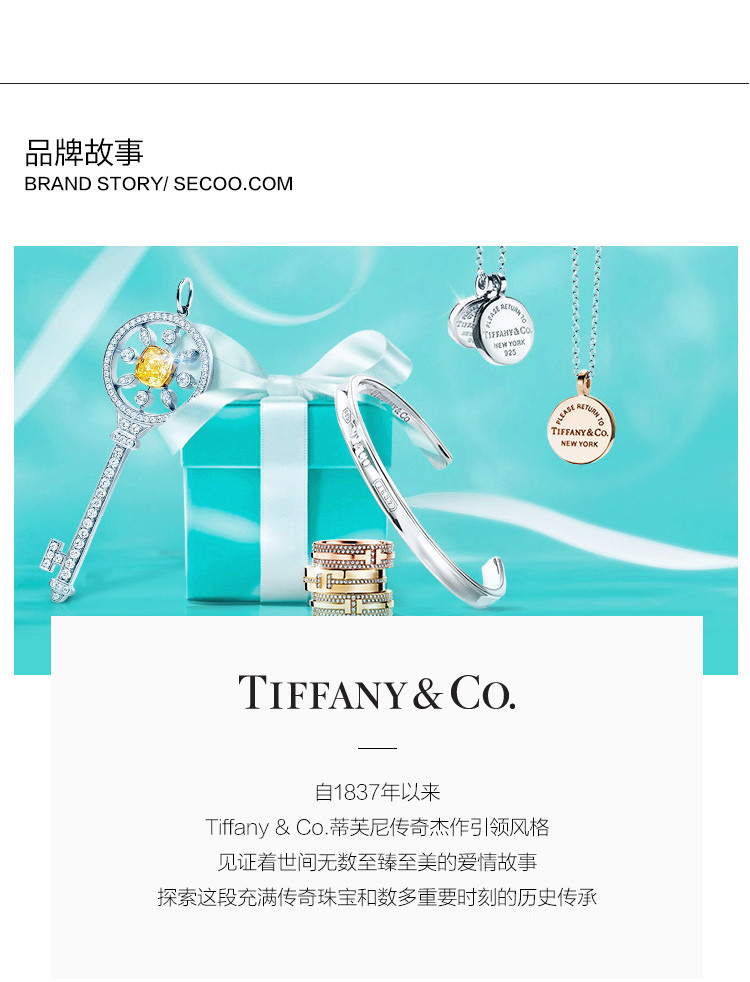 Tiffany & Co./蒂芙尼 925纯银蓝色时尚双心珐琅项链 27125107