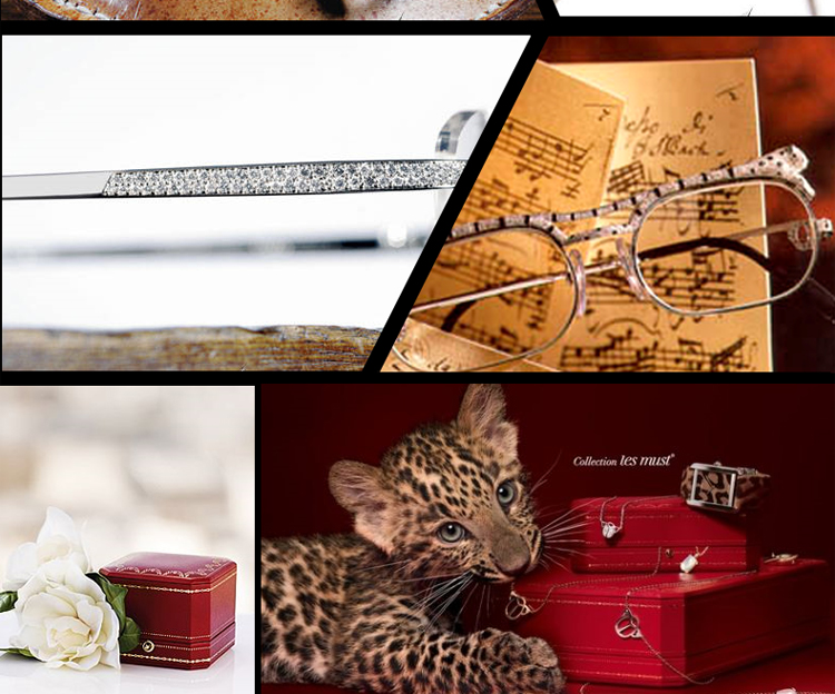 CARTIER/卡地亚 轻盈板材饰面镀铂金镜腿经典螺旋logo时尚女士眼镜